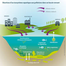 la pollution de leau