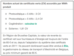 elia certificat vert contact