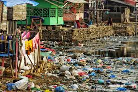 pollution plastique terrestre