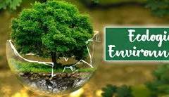 environnement et écologie