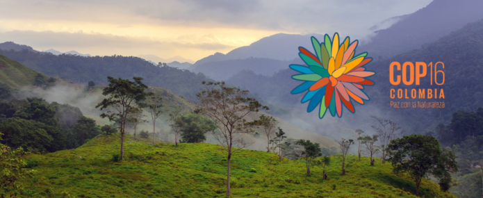 convention sur la diversité biologique 2020