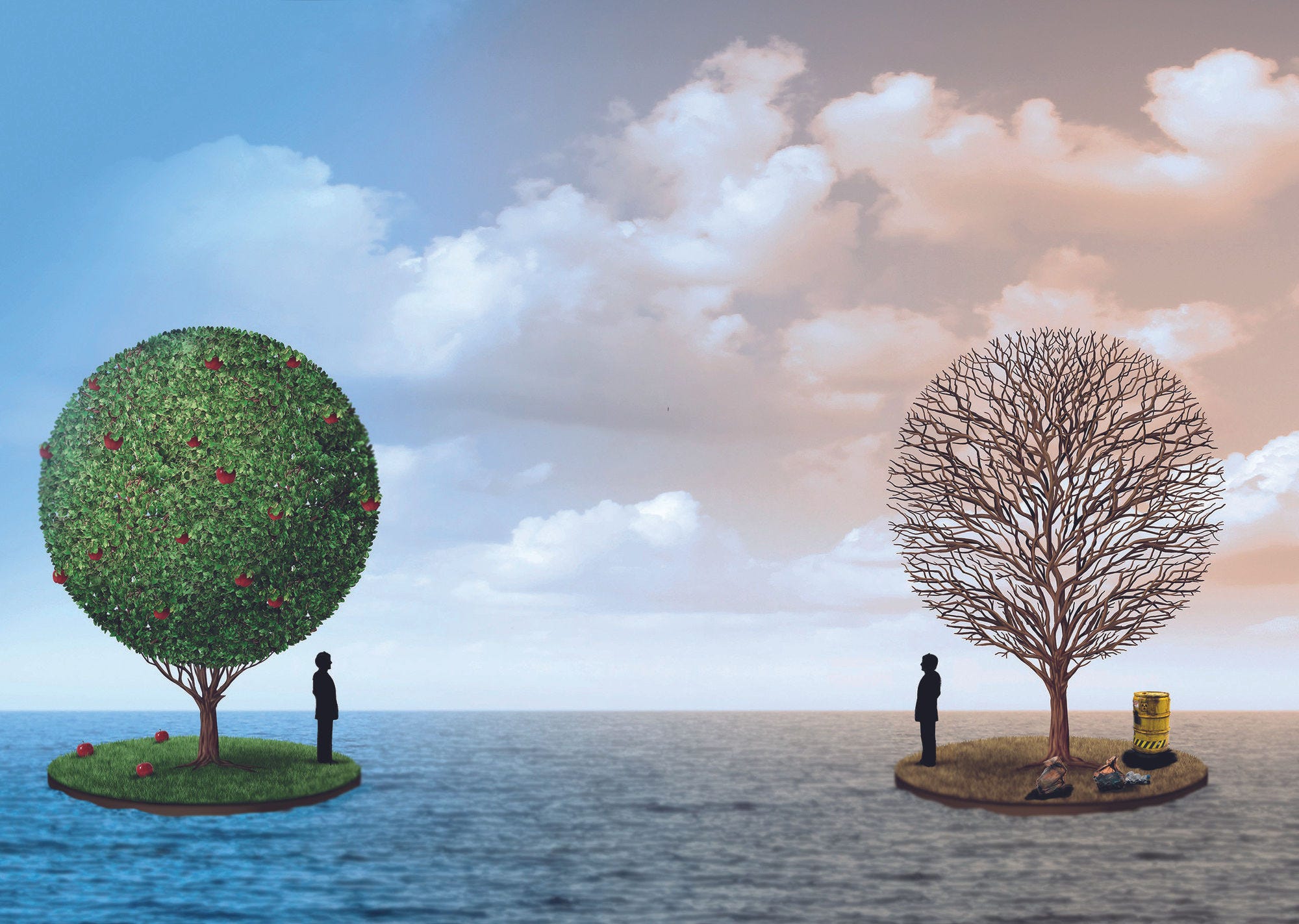 la politique environnementale