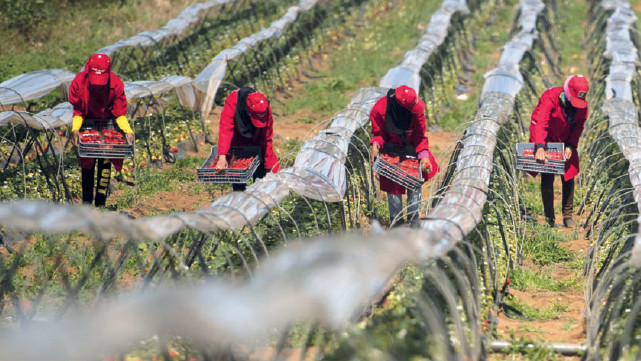 la pollution agricole
