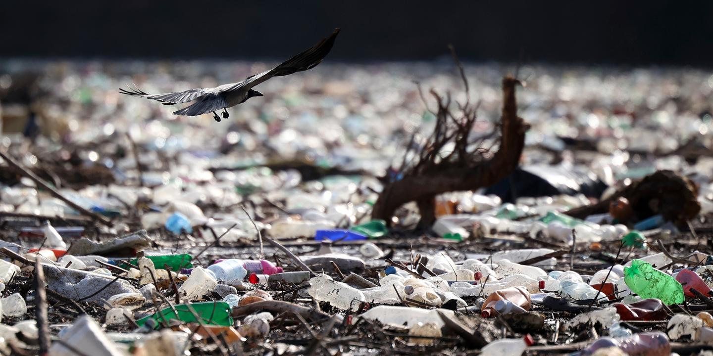 la pollution plastique