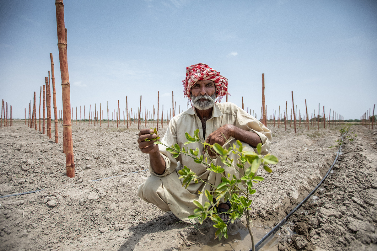 transition écologique