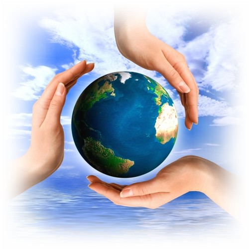 respect environnement