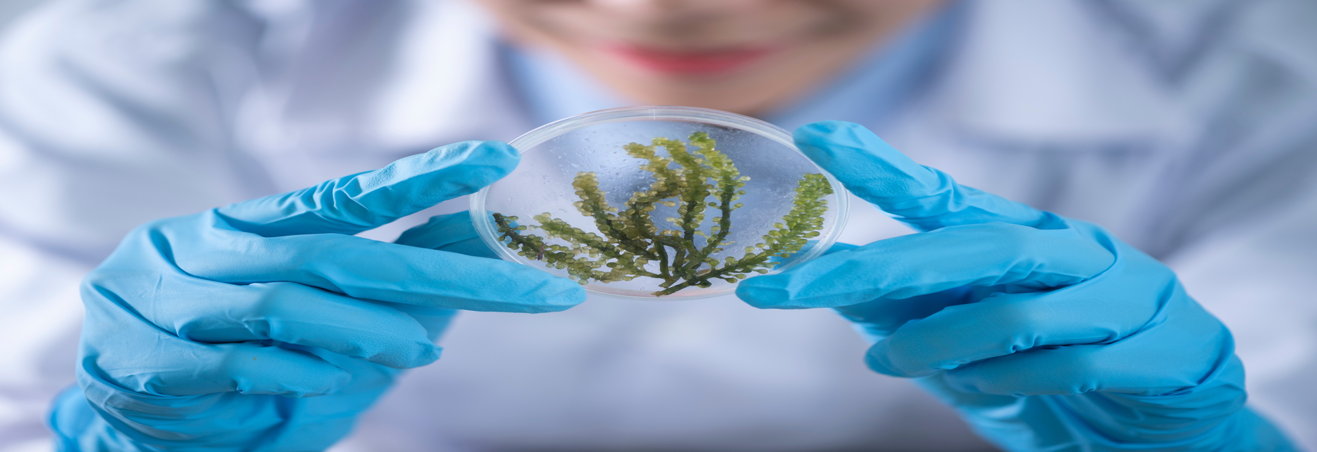 science environnementale