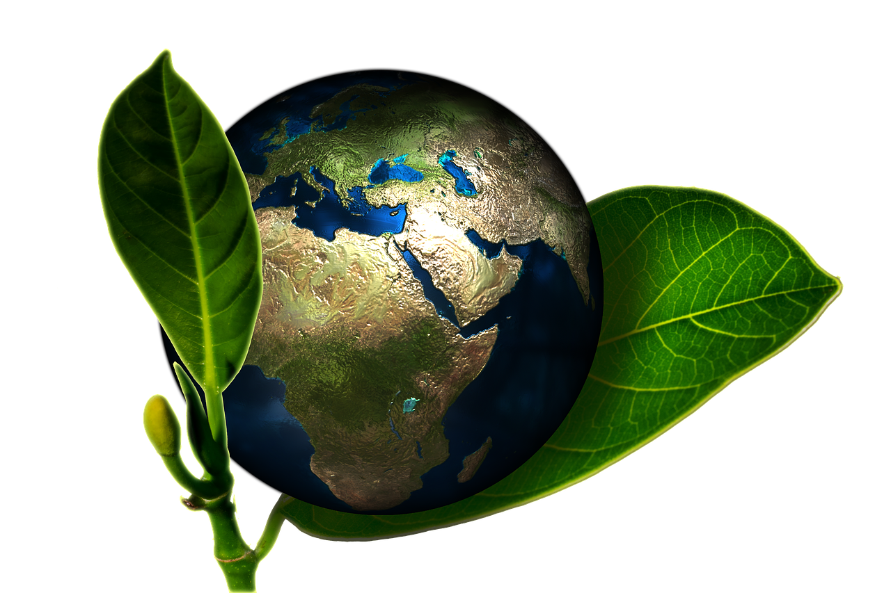 approche environnementale