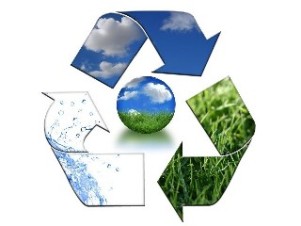 de l environnement