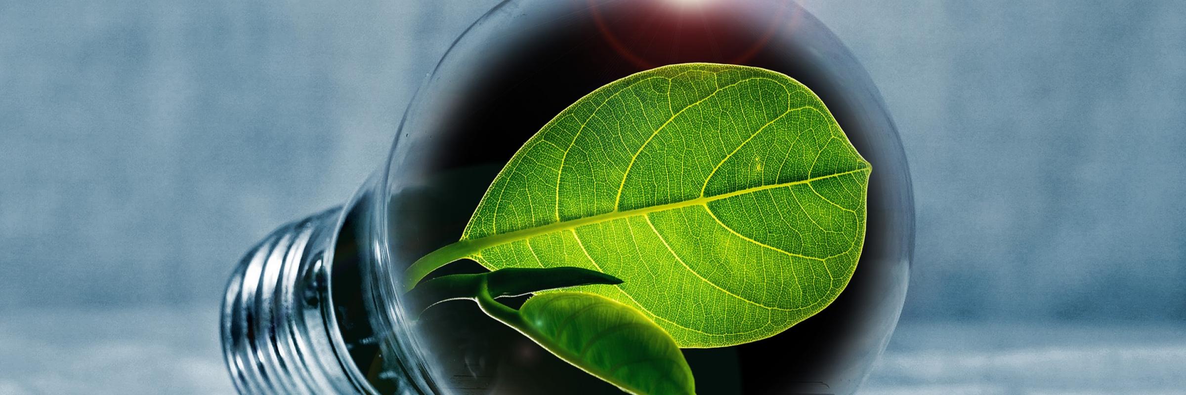 projet environnemental