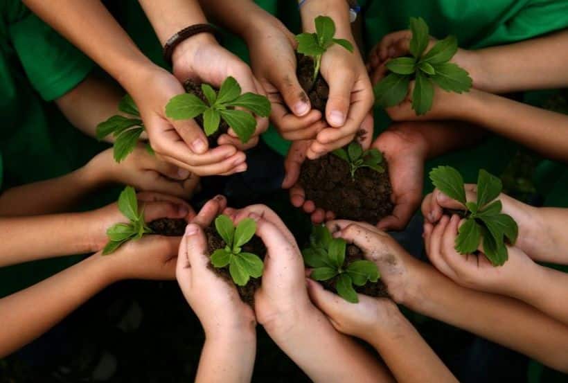 protection de l environnement et développement durable