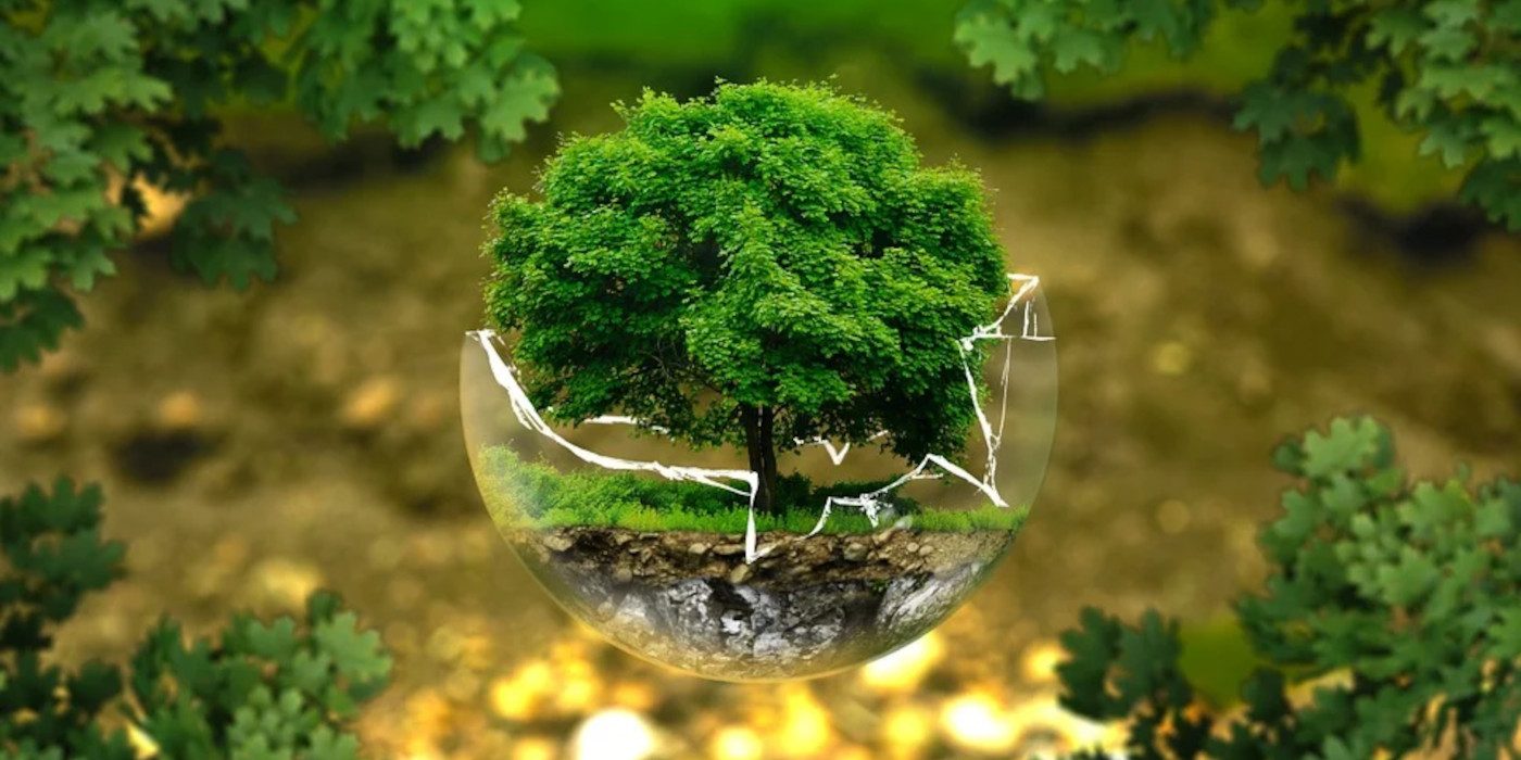 conseil environnement